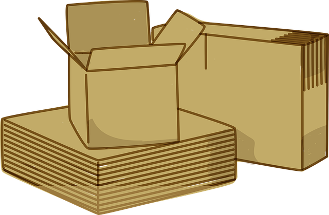 Effektives Packen während des Umzugs